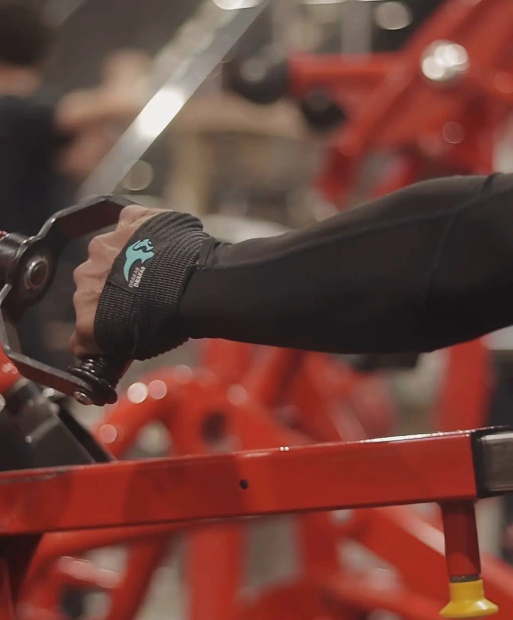 Pack De Musculation Drakar